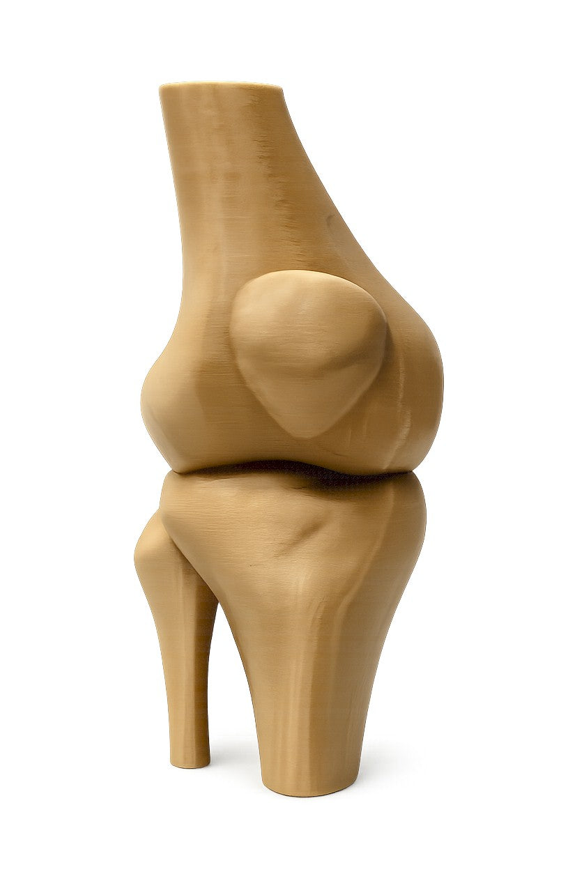 Funny Knee Joint Gift for Dad – Novelty DIY Handyman Gag Gift, RYO-KNEE