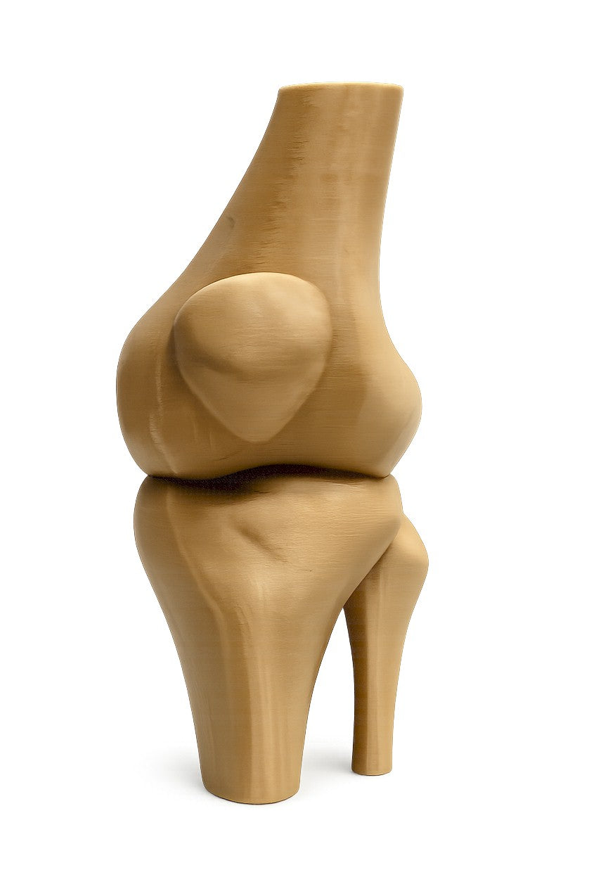 Funny Knee Joint Gift for Dad – Novelty DIY Handyman Gag Gift, RYO-KNEE