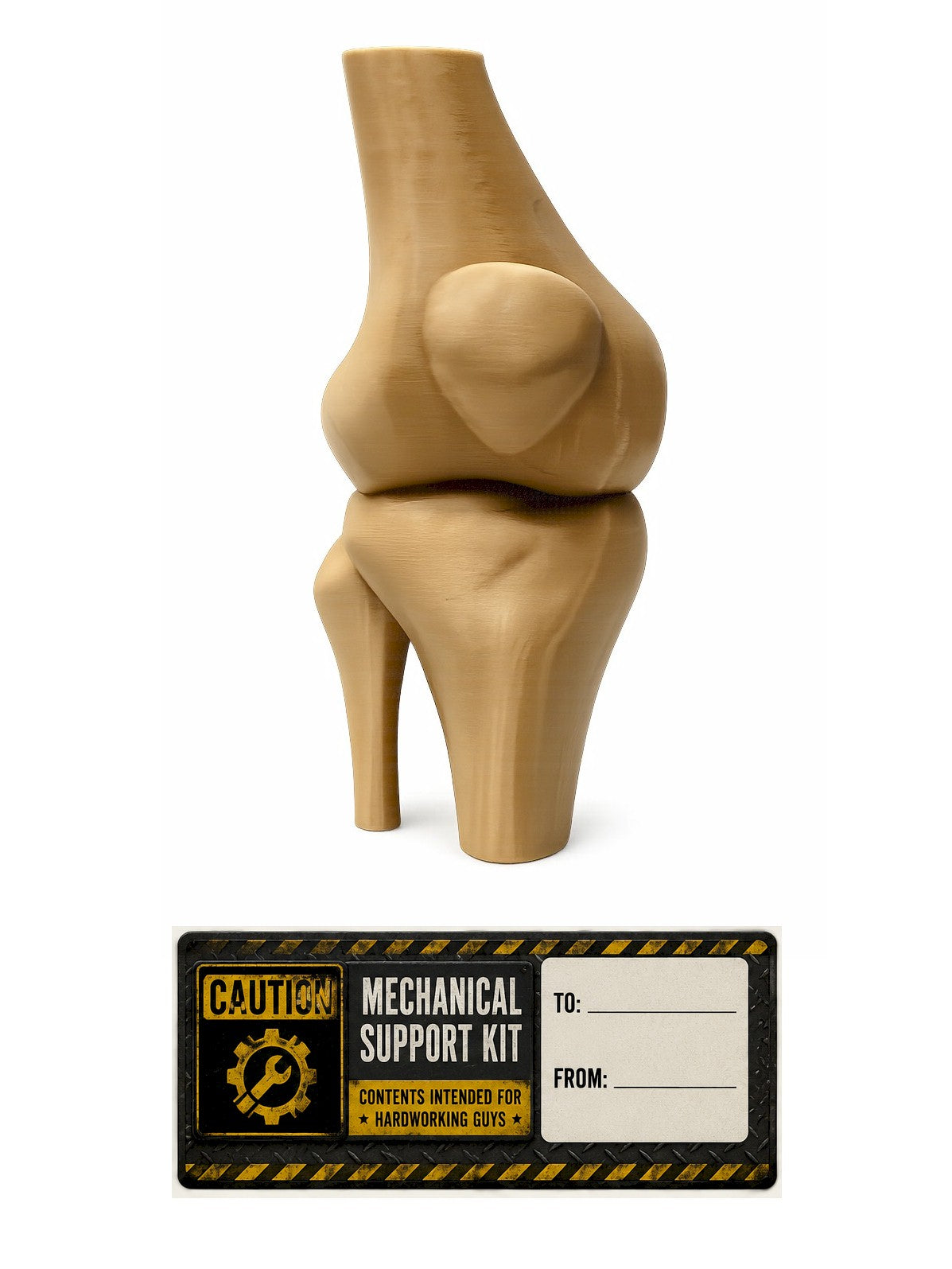 Funny Knee Joint Gift for Dad – Novelty DIY Handyman Gag Gift, RYO-KNEE