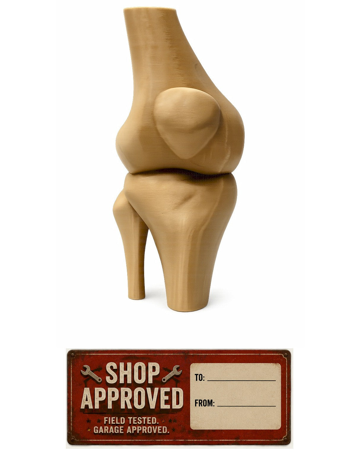 Funny Knee Joint Gift for Dad – Novelty DIY Handyman Gag Gift, RYO-KNEE