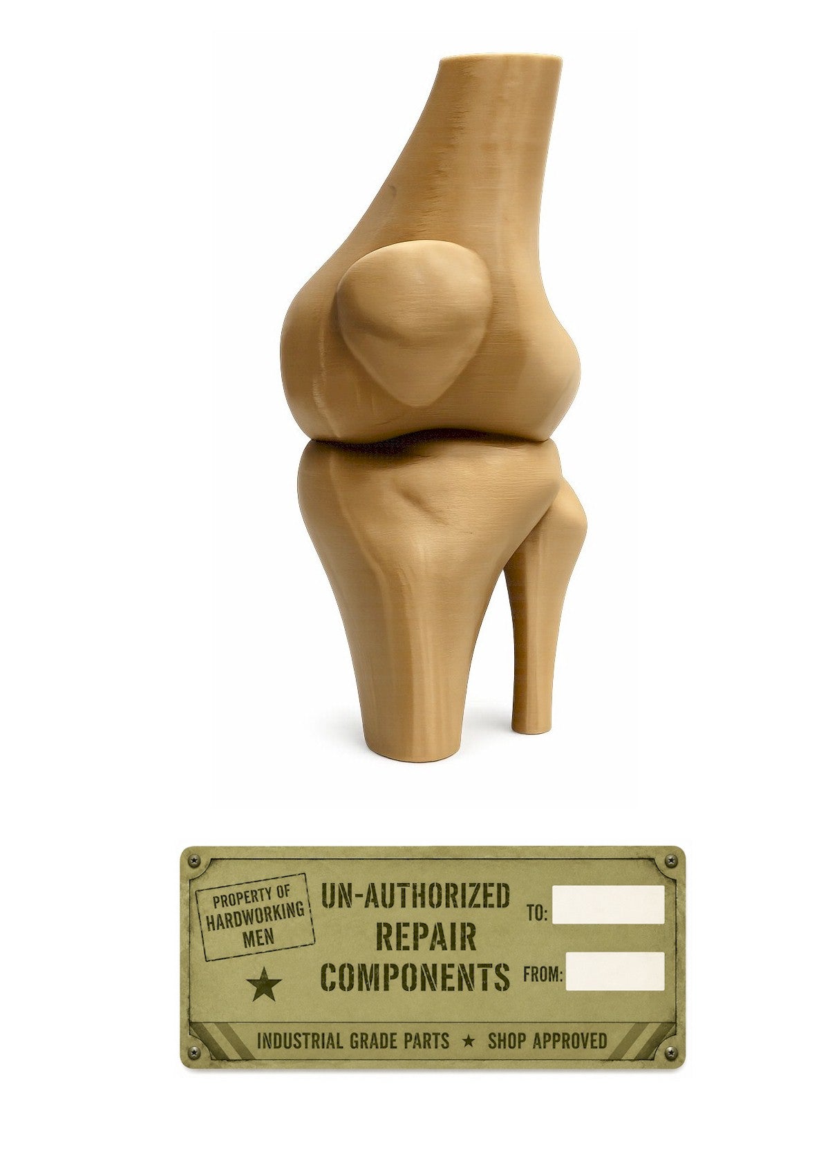 Funny Knee Joint Gift for Dad – Novelty DIY Handyman Gag Gift, RYO-KNEE