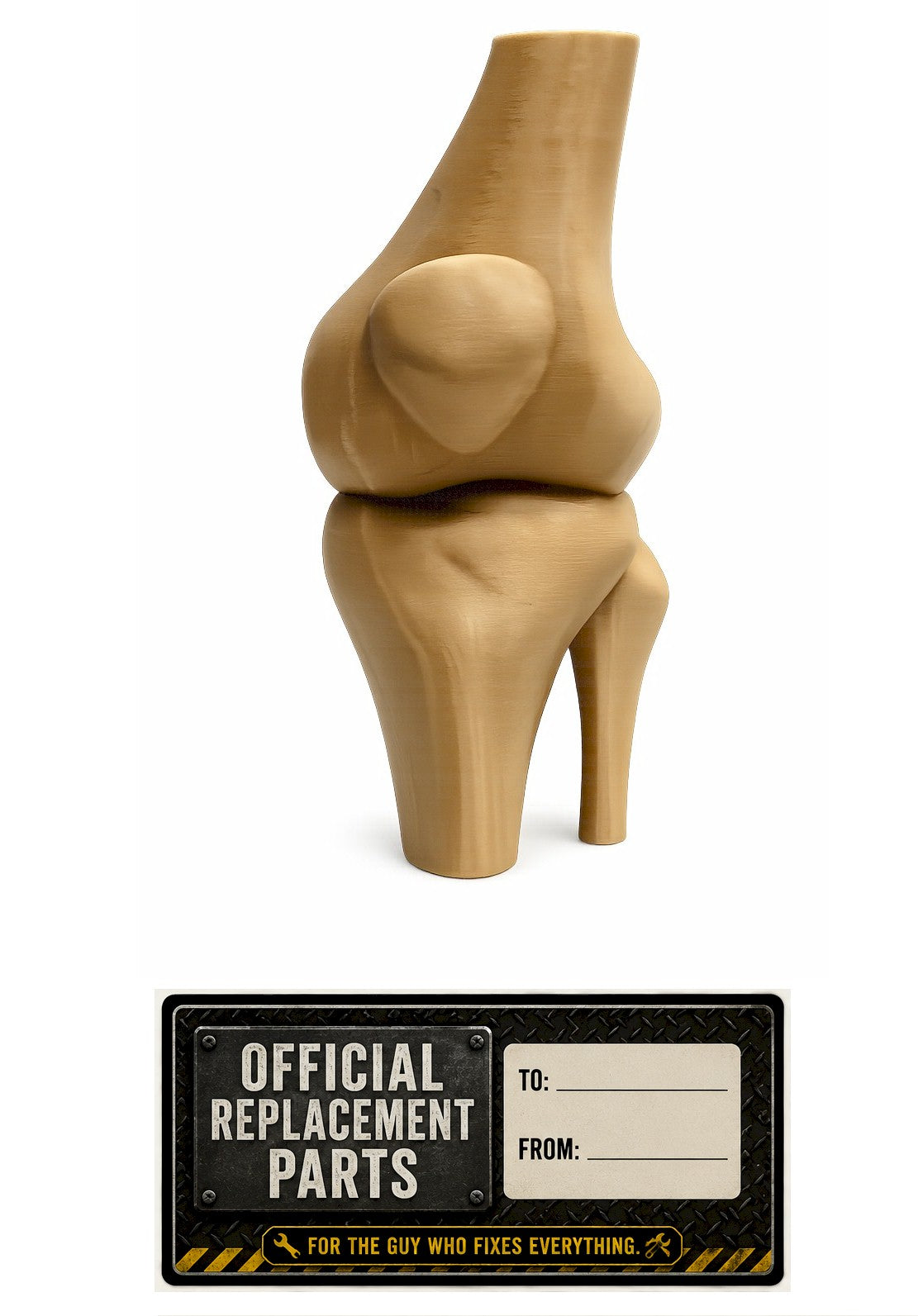 Funny Knee Joint Gift for Dad – Novelty DIY Handyman Gag Gift, RYO-KNEE