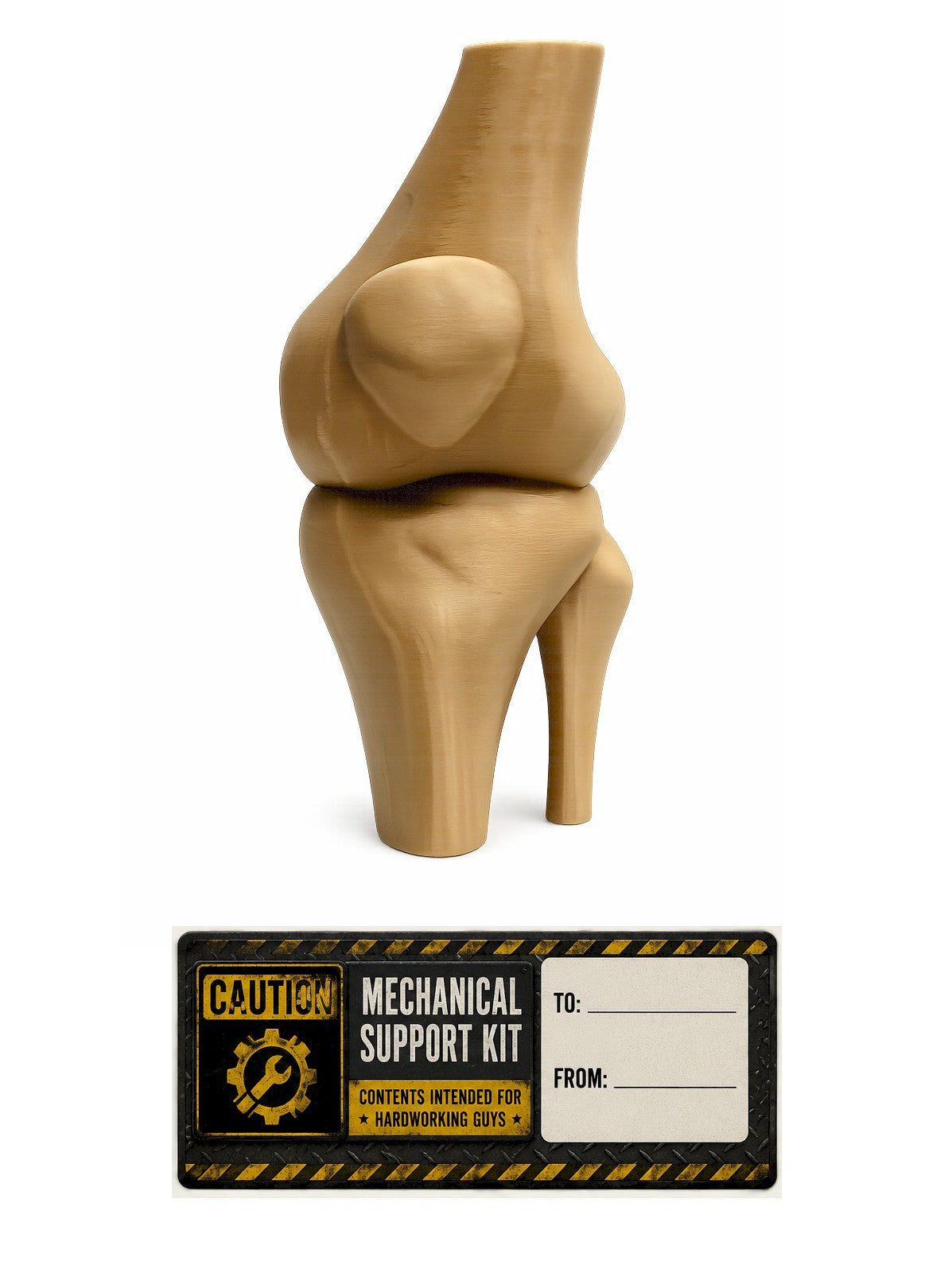 Funny Knee Joint Gift for Dad – Novelty DIY Handyman Gag Gift, RYO-KNEE