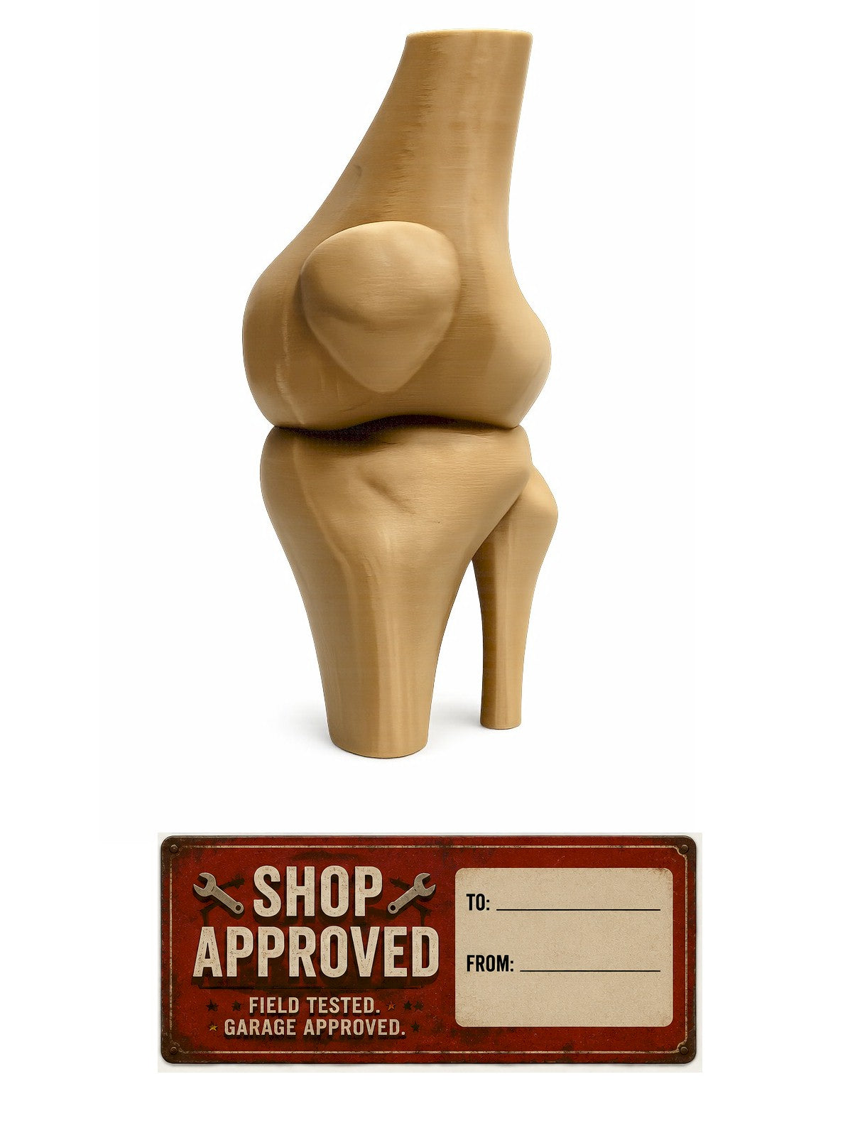 Funny Knee Joint Gift for Dad – Novelty DIY Handyman Gag Gift, RYO-KNEE